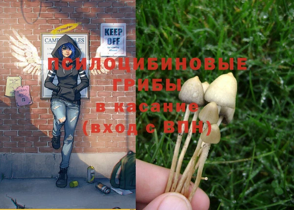 шишки Балабаново