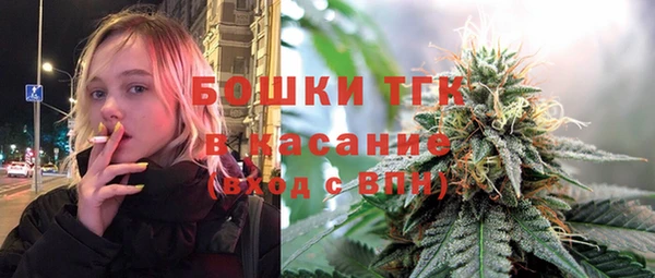 шишки Балабаново