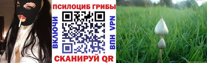Псилоцибиновые грибы прущие грибы блэк спрут ссылка Феодосия купить наркотики сайты